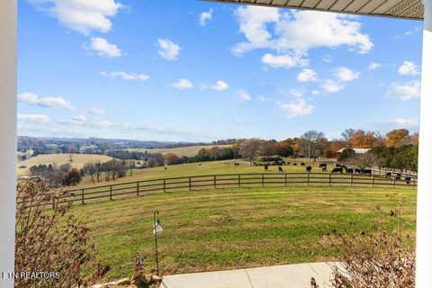 Tiny photo for 6130 James Cline Rd, Talbott, TN 37877 (MLS # 1324315)