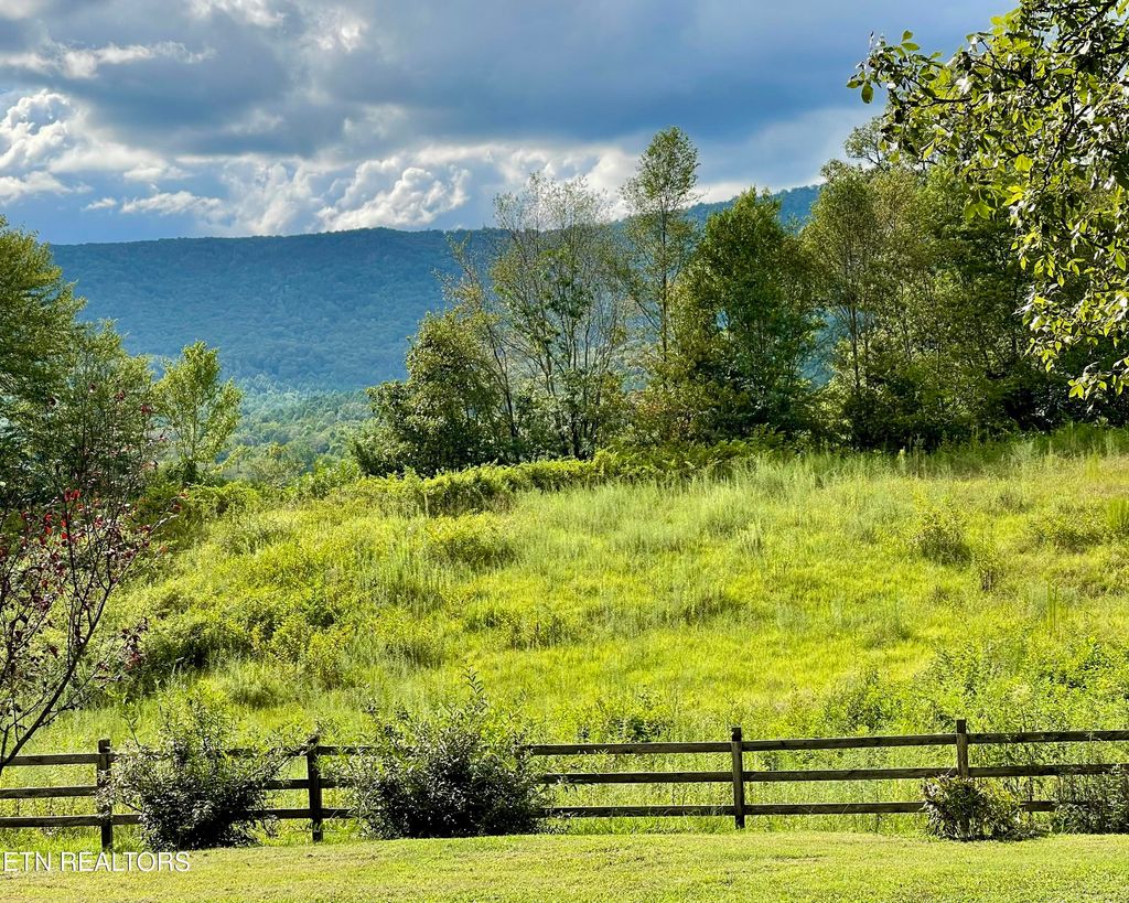 Photo of 160 Rural Vale Rd, Tellico Plains, TN 37385 (MLS # 1311404)