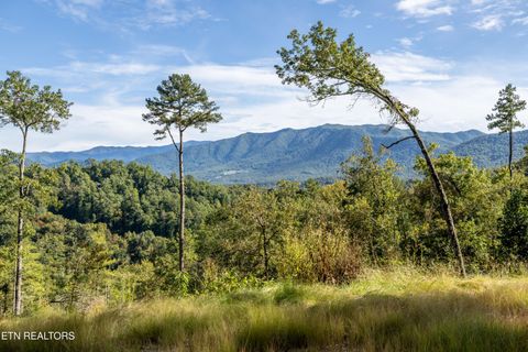 Photo of 454 Mt. John Luke Rd, Townsend, TN 37882 (MLS # 1317670)