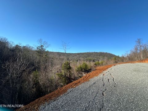 Photo of 1776 Fairview Rd, Tellico Plains, TN 37385 (MLS # 1337405)