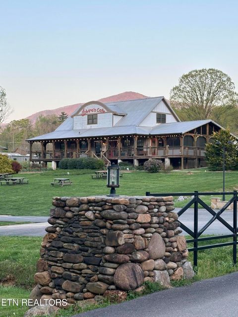 Tiny photo for 3305 Red Wolfe Rd, Sevierville, TN 37862 (MLS # 1329474)