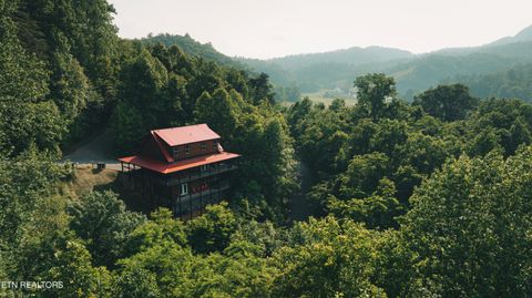 Tiny photo for 3305 Red Wolfe Rd, Sevierville, TN 37862 (MLS # 1329474)