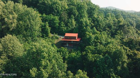 Tiny photo for 3305 Red Wolfe Rd, Sevierville, TN 37862 (MLS # 1329474)