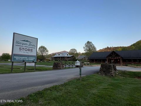 Tiny photo for 3305 Red Wolfe Rd, Sevierville, TN 37862 (MLS # 1329474)