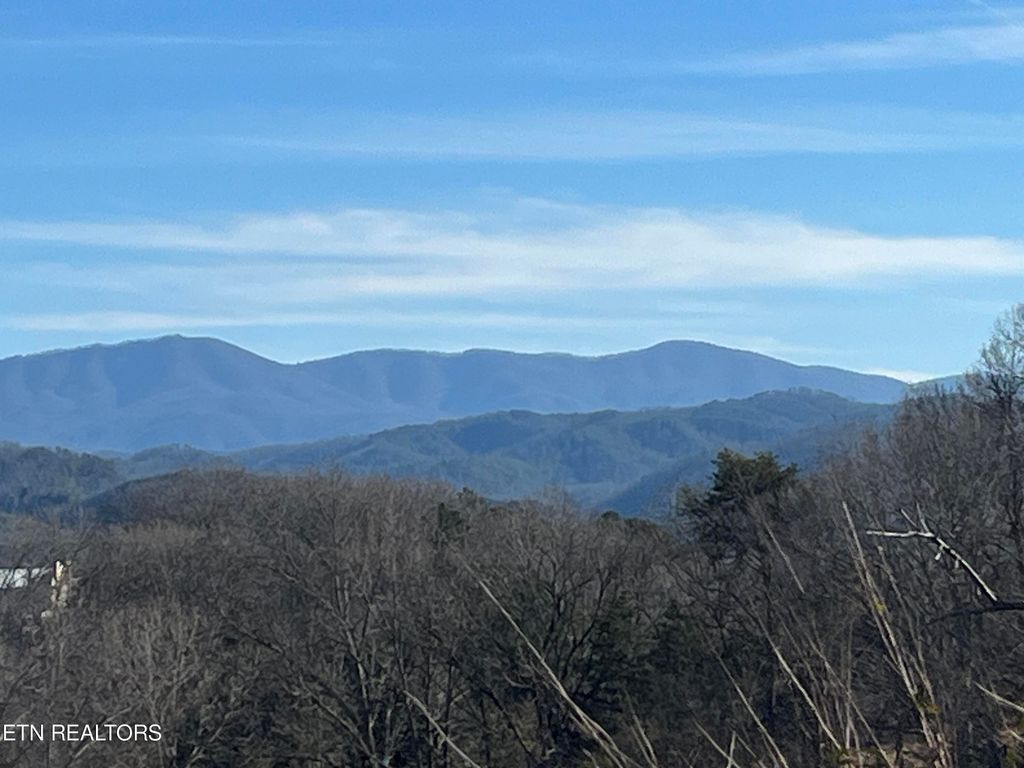 Photo of 0 Fairview Road Rd, Tellico Plains, TN 37385 (MLS # 1248696)