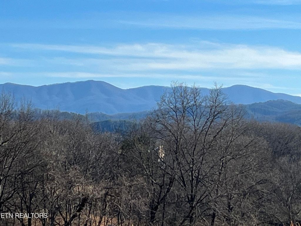 Photo of 0 Fairview Road Rd, Tellico Plains, TN 37385 (MLS # 1248696)