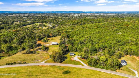 Tiny photo for 626 N White Pine Rd, Talbott, TN 37877 (MLS # 1359469)
