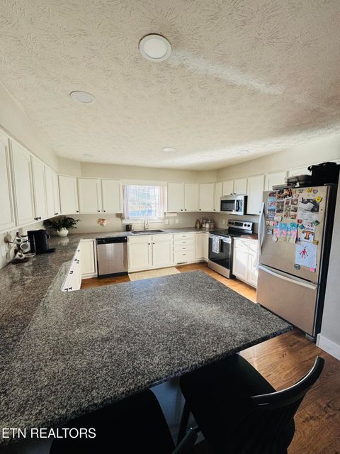 Tiny photo for 226 Van Stowe Rd, Harriman, TN 37748 (MLS # 1324268)