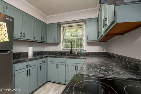 Tiny photo for 339 Cofer Circle, Harriman, TN 37748 (MLS # 1328314)