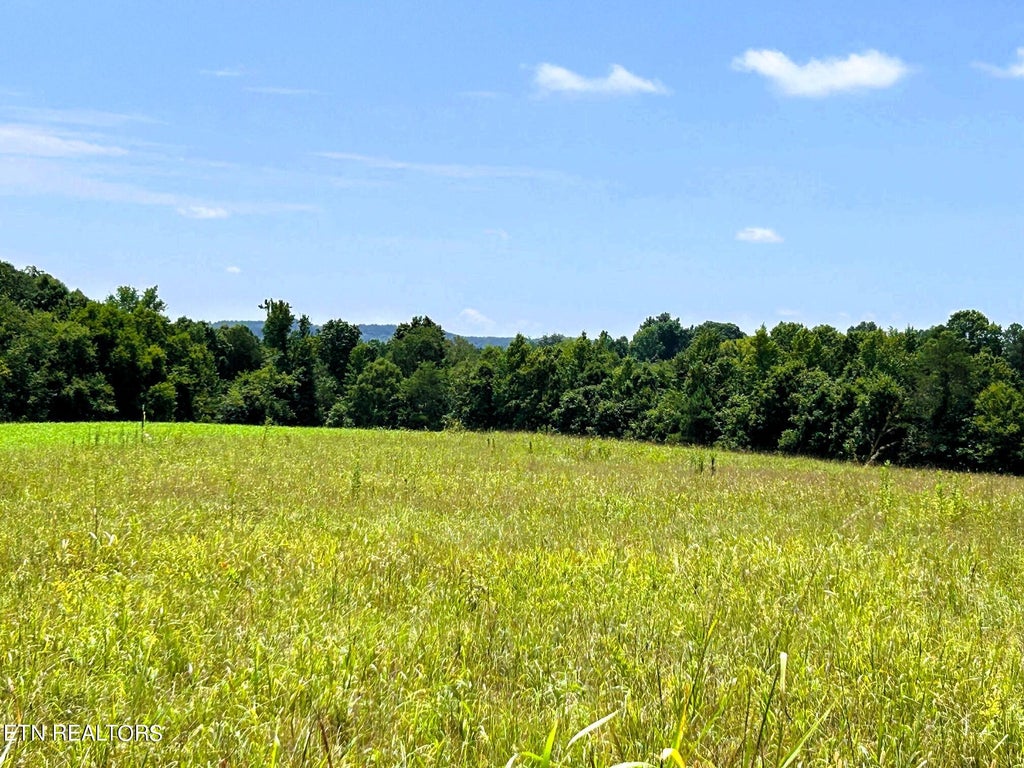 Photo of 5 Euchee Road, Ten Mile, TN 37880 (MLS # 1271909)