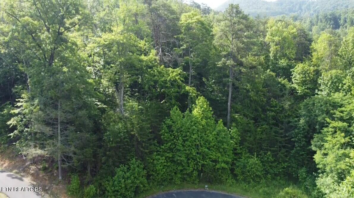 Lot 40 Thomas Headrick Rd
