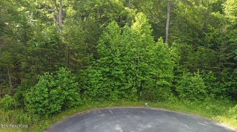 Lot 40 Thomas Headrick Rd Sevierville TN 37862