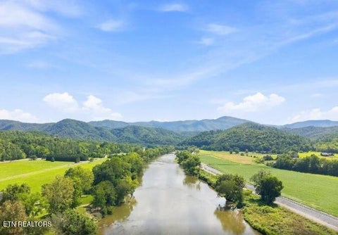 Tiny photo for 3799 River Rapids Way, Del Rio, TN 37727 (MLS # 1360011)