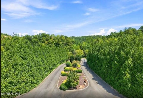Tiny photo for 3799 River Rapids Way, Del Rio, TN 37727 (MLS # 1360011)