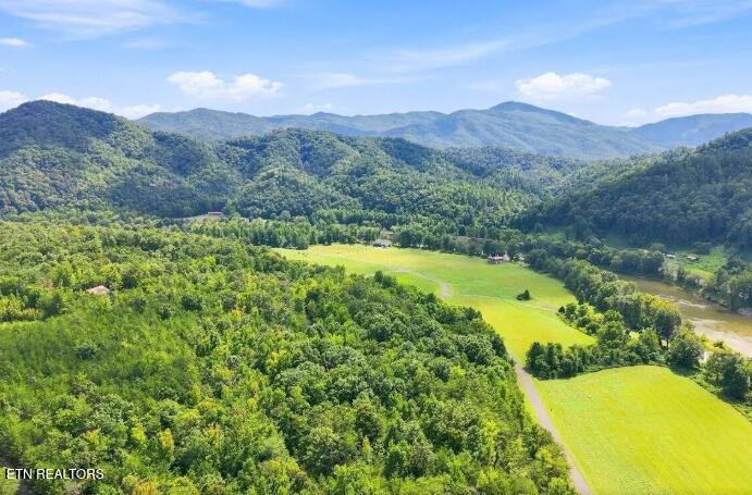 Photo of 3799 River Rapids Way, Del Rio, TN 37727 (MLS # 1360011)