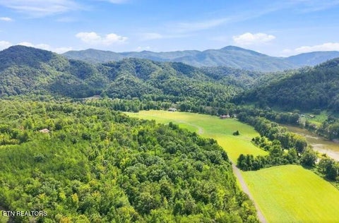 Photo of 3799 River Rapids Way, Del Rio, TN 37727 (MLS # 1360011)