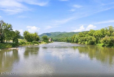 Tiny photo for 3799 River Rapids Way, Del Rio, TN 37727 (MLS # 1360011)