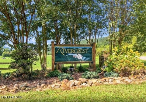Tiny photo for 3799 River Rapids Way, Del Rio, TN 37727 (MLS # 1360011)