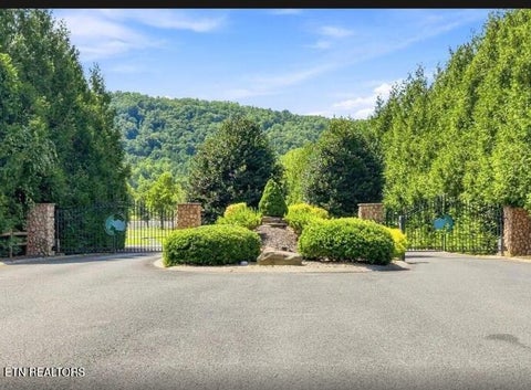 Tiny photo for 3799 River Rapids Way, Del Rio, TN 37727 (MLS # 1360011)