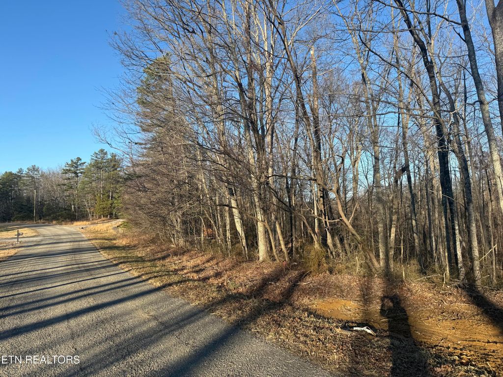 Photo of Bear Knob Lane, Crawford, TN 38554 (MLS # 1328309)