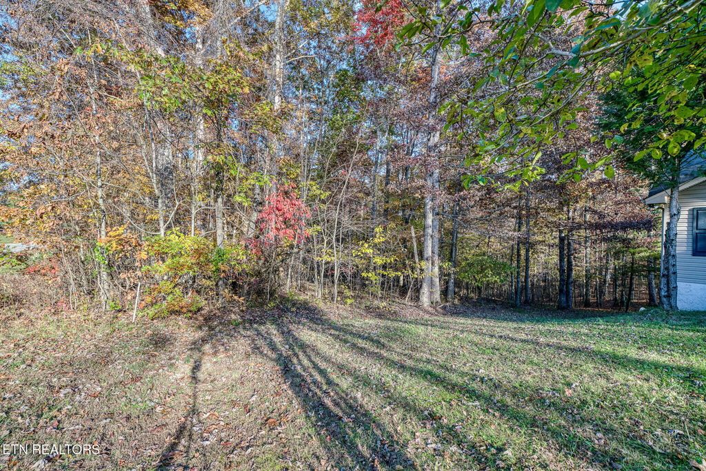 Photo of 1013 Pahue Drive, Crossville, TN 38572 (MLS # 1320999)