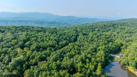 Tiny photo for 6030 Big Bass Lane, Tallassee, TN 37878 (MLS # 1346946)