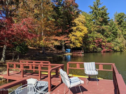 Tiny photo for 6030 Big Bass Lane, Tallassee, TN 37878 (MLS # 1346946)