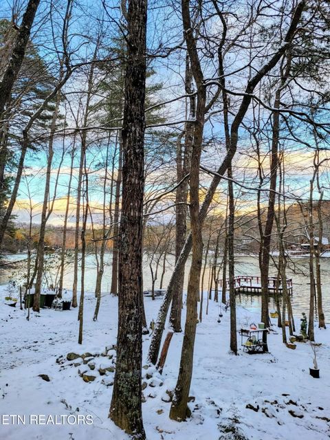 Tiny photo for 6030 Big Bass Lane, Tallassee, TN 37878 (MLS # 1346946)