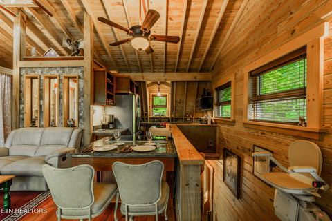 Tiny photo for 6030 Big Bass Lane, Tallassee, TN 37878 (MLS # 1346946)