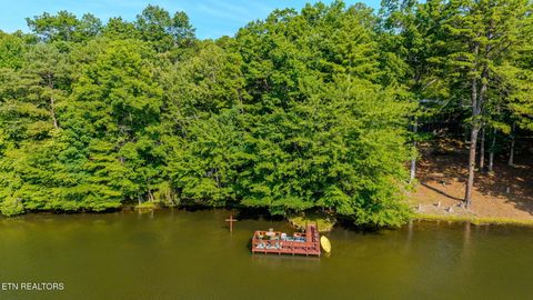 Tiny photo for 6030 Big Bass Lane, Tallassee, TN 37878 (MLS # 1346946)