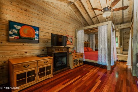 Tiny photo for 6030 Big Bass Lane, Tallassee, TN 37878 (MLS # 1346946)