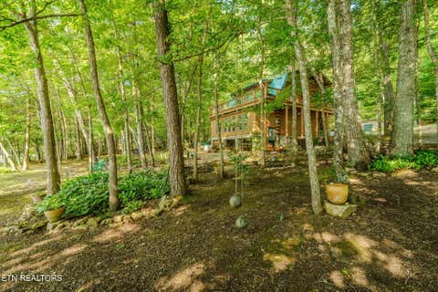 Tiny photo for 6030 Big Bass Lane, Tallassee, TN 37878 (MLS # 1346946)