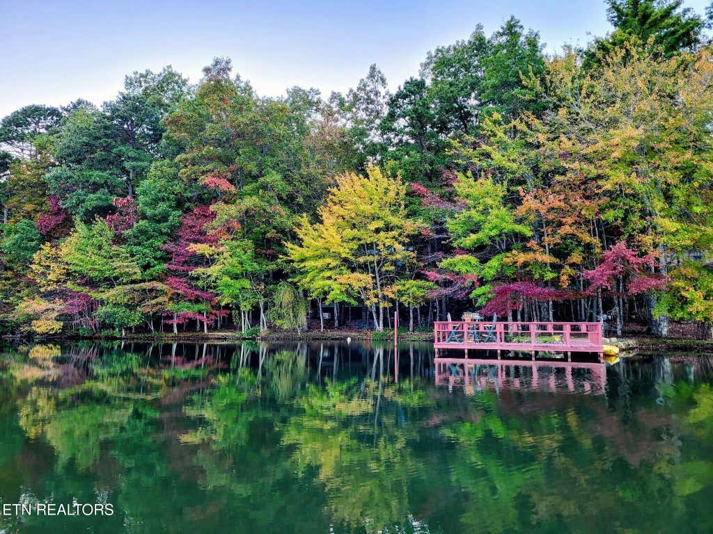 Photo of 6030 Big Bass Lane, Tallassee, TN 37878 (MLS # 1346946)