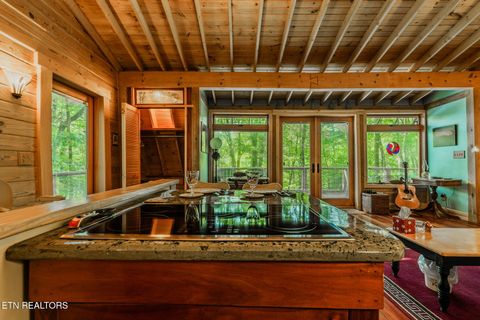 Tiny photo for 6030 Big Bass Lane, Tallassee, TN 37878 (MLS # 1346946)