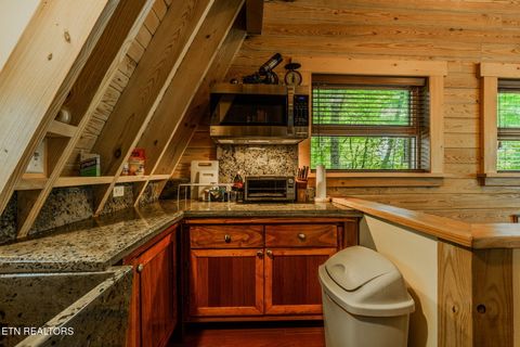 Tiny photo for 6030 Big Bass Lane, Tallassee, TN 37878 (MLS # 1346946)