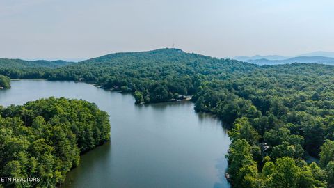 Tiny photo for 6030 Big Bass Lane, Tallassee, TN 37878 (MLS # 1346946)