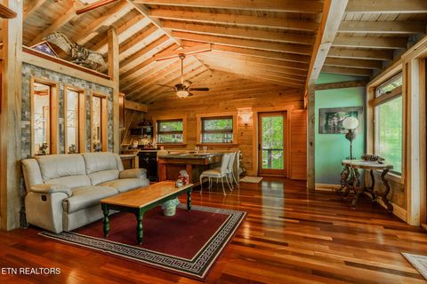 Tiny photo for 6030 Big Bass Lane, Tallassee, TN 37878 (MLS # 1346946)