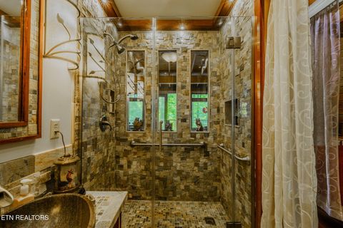 Tiny photo for 6030 Big Bass Lane, Tallassee, TN 37878 (MLS # 1346946)