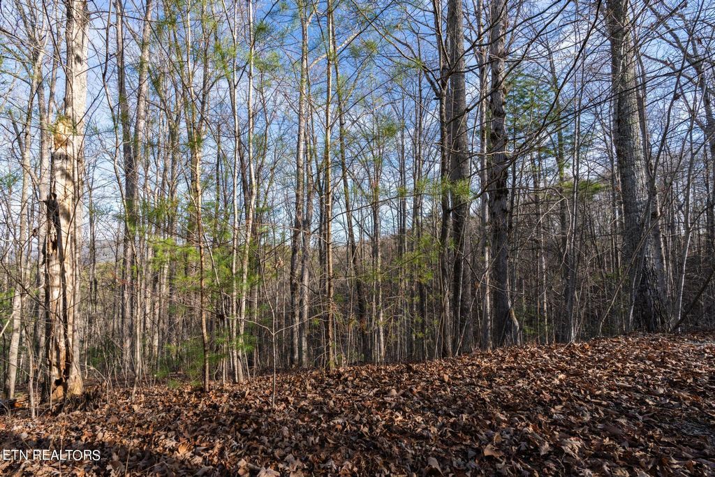 Photo of 270 Fence Rail Gap Rd, Walland, TN 37886 (MLS # 1248974)