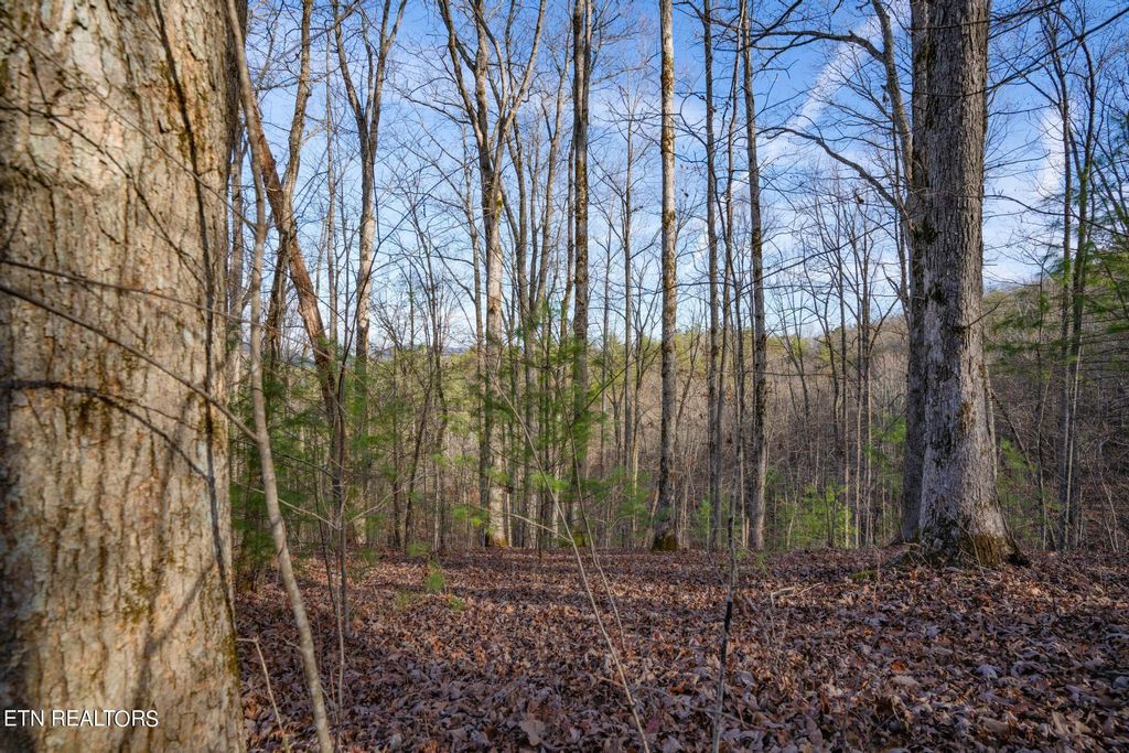 Photo of 270 Fence Rail Gap Rd, Walland, TN 37886 (MLS # 1248974)