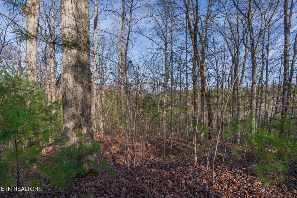 Photo of 270 Fence Rail Gap Rd, Walland, TN 37886 (MLS # 1248974)