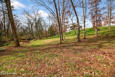 Tiny photo for 323 Riverview Drive, Crossville, TN 38555 (MLS # 1323794)