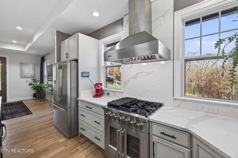 Tiny photo for 323 Riverview Drive, Crossville, TN 38555 (MLS # 1323794)