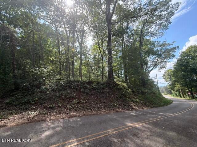 Photo of 0 County Road 446, Athens, TN 37303 (MLS # 1356668)