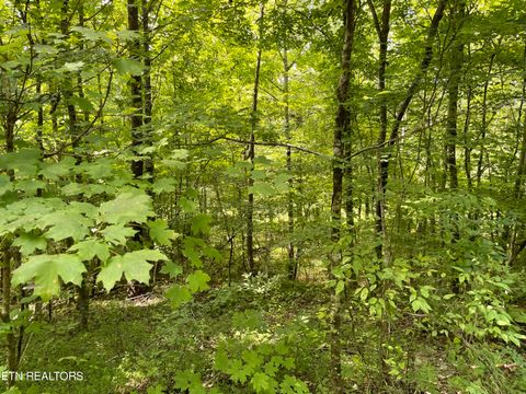 Dry Fork Valley Rd. Rd Ten Mile TN 37880