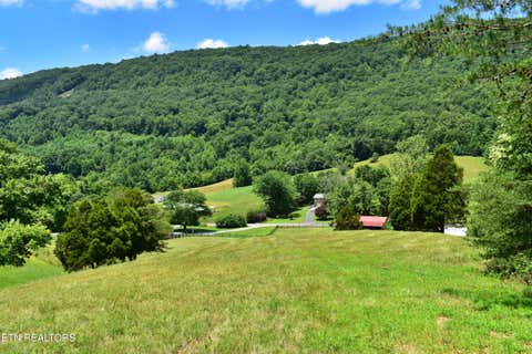 Tiny photo for 1319 Ideal Valley Rd, Spring City, TN 37381 (MLS # 1345594)