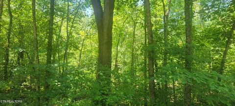 Shadden Rd Tellico Plains TN 37385