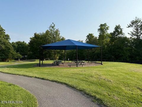 Tiny photo for Smokey Quartz Blvd, New Tazewell, TN 37825 (MLS # 1325236)