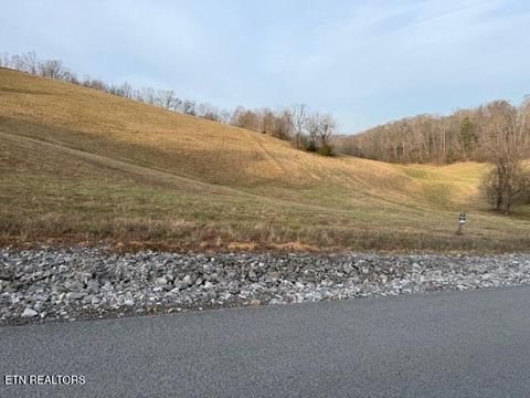 Photo of Smokey Quartz Blvd, New Tazewell, TN 37825 (MLS # 1325236)