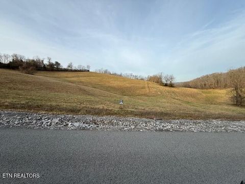 Tiny photo for Smokey Quartz Blvd, New Tazewell, TN 37825 (MLS # 1325236)